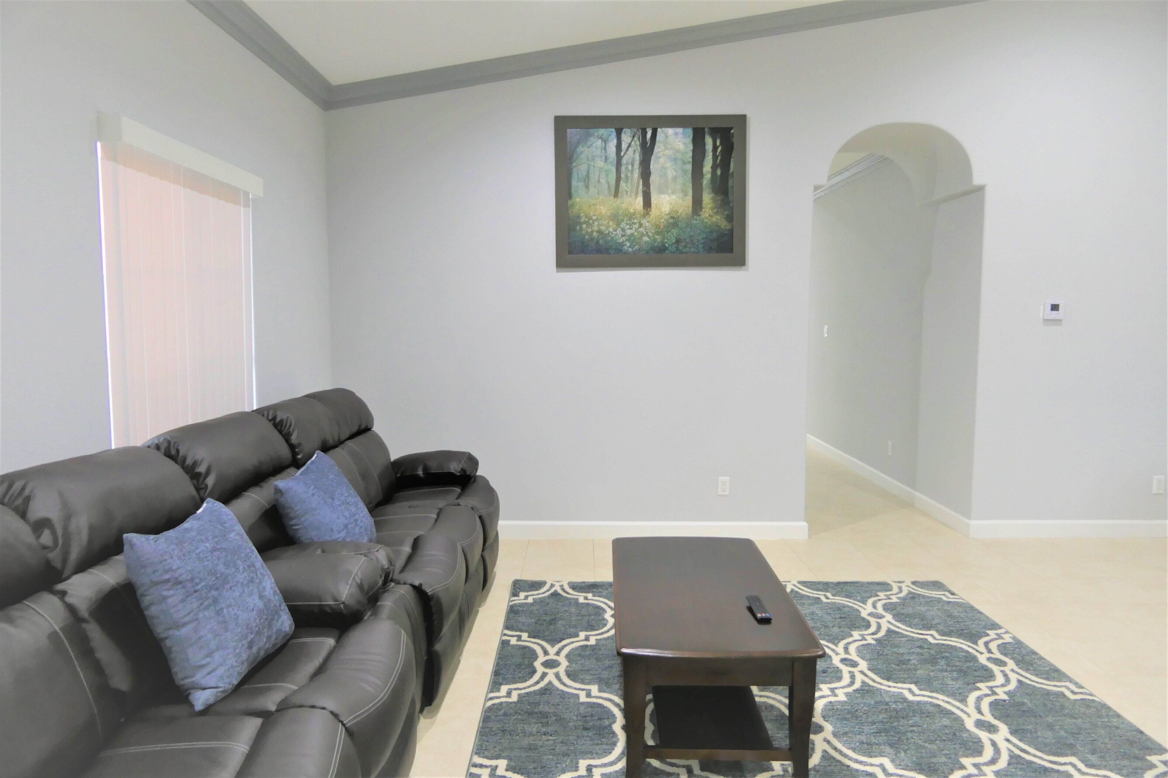 A living room with a leather sofa, a patterned rug, a coffee table, and a framed picture on the wall.