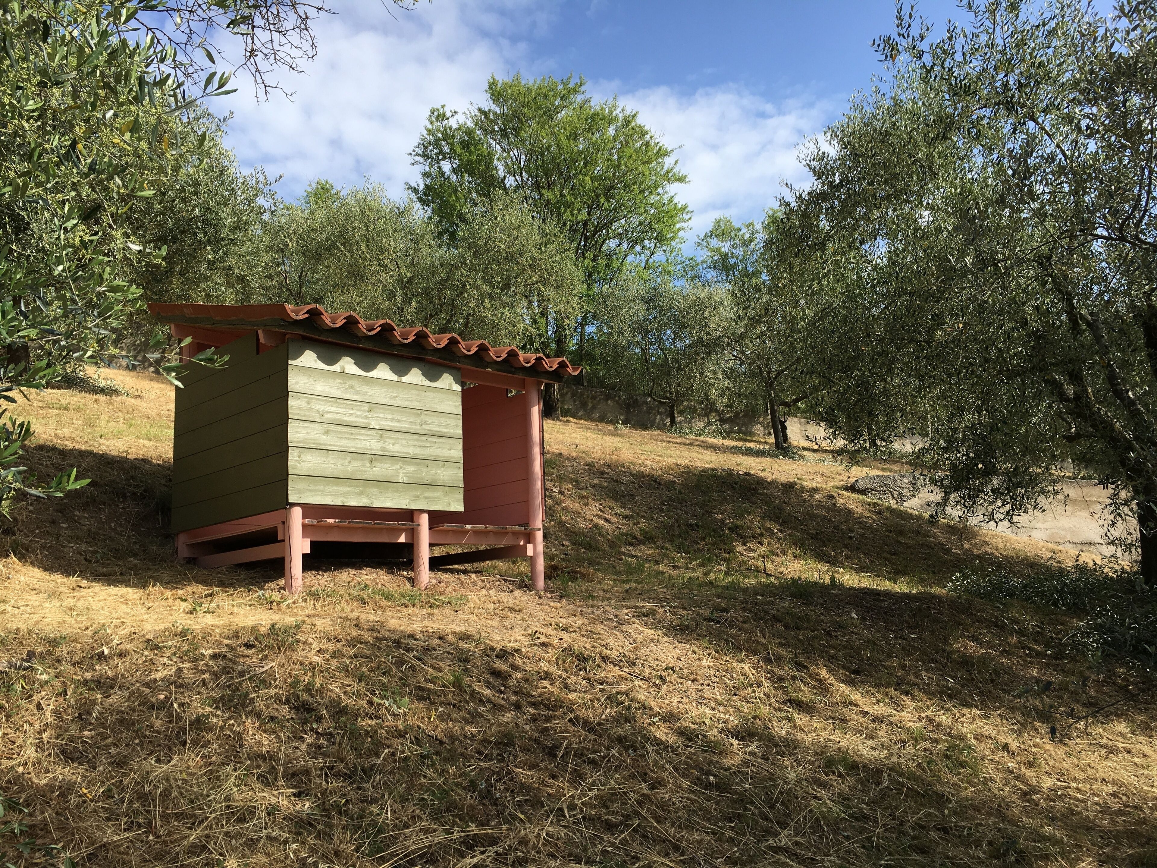 Enceinte de l’hébergement