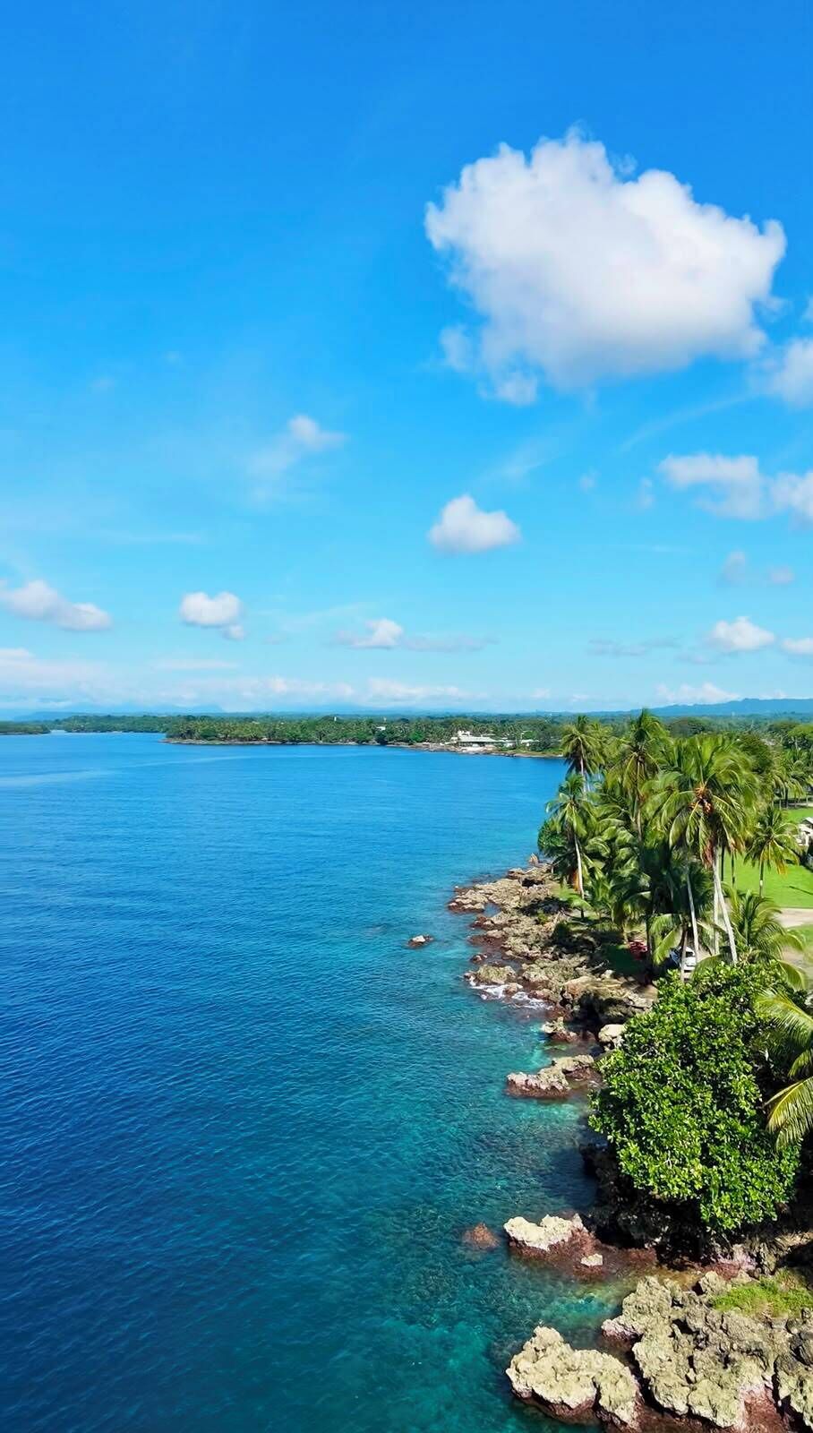 A coastal landscape with clear blue water, rocky shoreline, and palm trees.