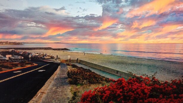 Vista sulla costa con una strada che porta a una spiaggia, un muro di contenimento e una fila di fiori rossi in primo piano.