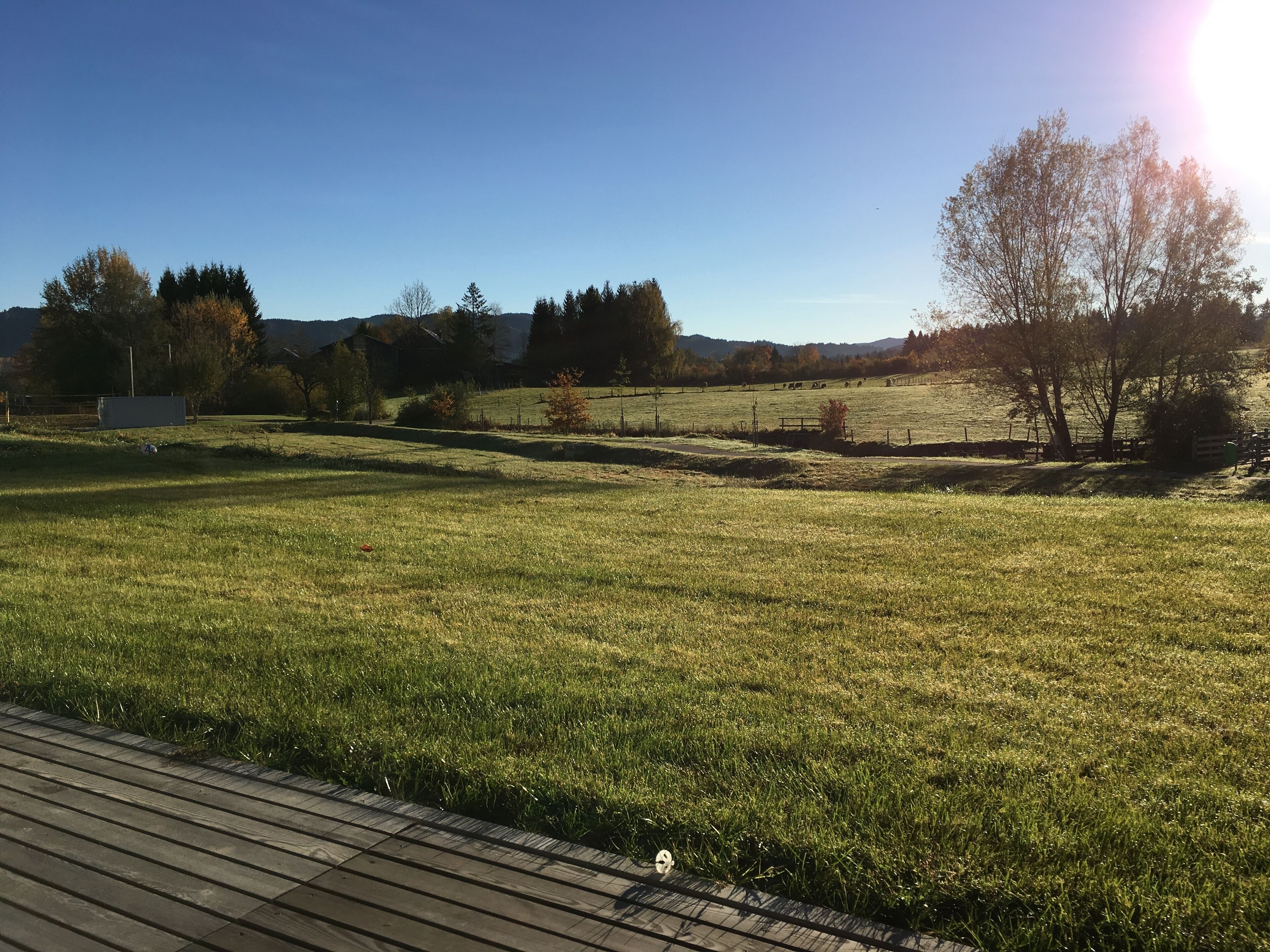 A grassy field with a wooden deck in the foreground.