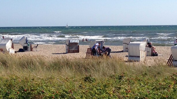 Een strand met meerdere strandstoelen en parasols, een zeilboot in de verte en een gazon op de voorgrond.