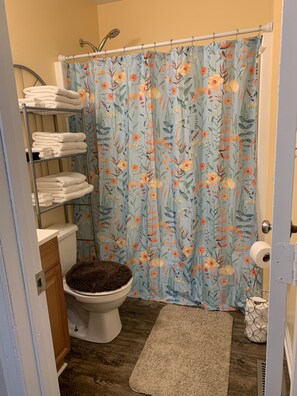 Secadora de cabello, toallas, jabón, shampoo 