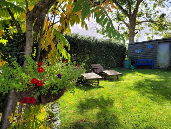 A garden with a wooden bench, a small shed, and a hedge. - Holiday family Seebach - holiday apartment (Altefähr)