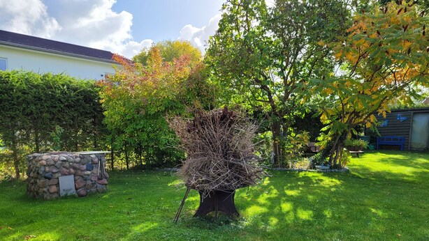 Kivestä rakennettu ulkoalue, jossa on puu, penkki ja pieni varasto.