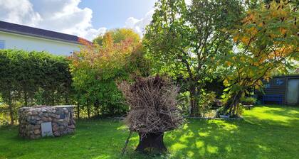 Ferienwohnung Familie Seebach - Ferienwohnung