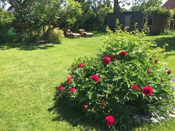 Overnatningsstedets område