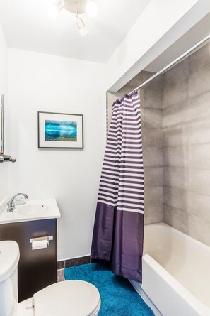 Combined shower/bathtub, hair dryer
