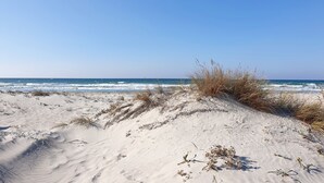 Une plage de sable avec une végétation clairsemée et un ciel bleu dégagé.