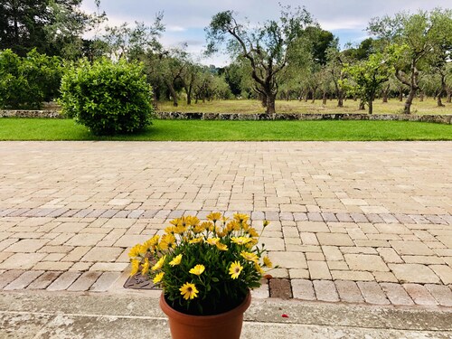 Villa Emanuel - Holiday home in Salento