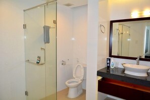 A modern bathroom with a glass-enclosed shower, a white toilet, and a vanity with a large mirror and sink.