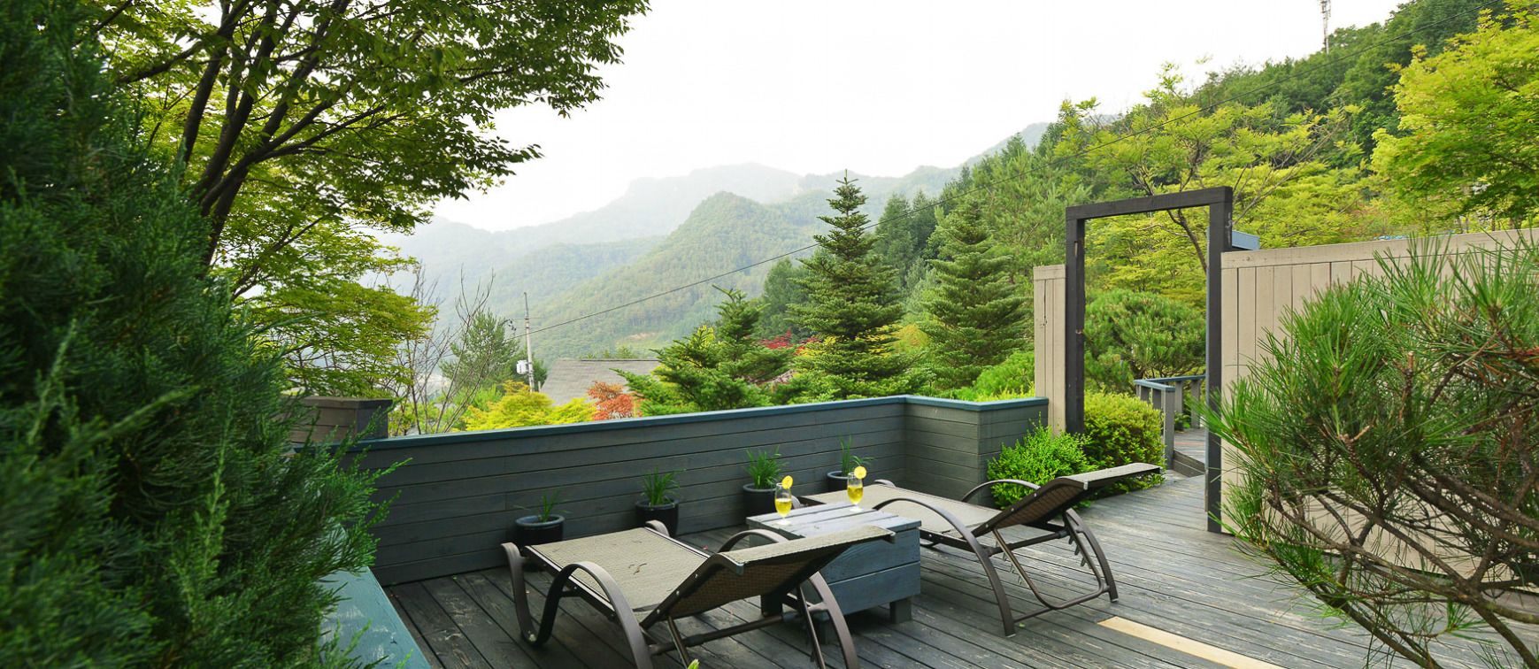 Contemporary | Terrace/patio