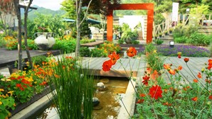 Tuin