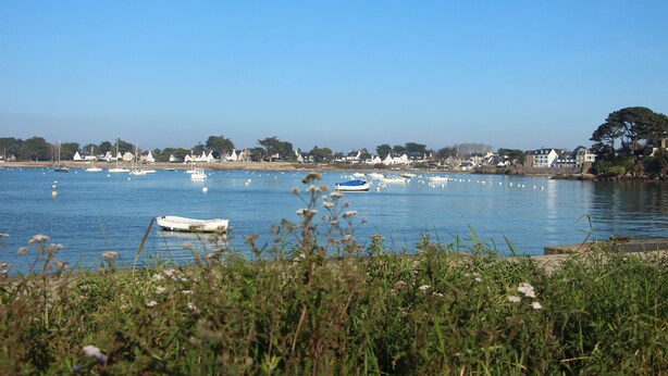 Une vue côtière avec des bateaux sur une eau calme, un ciel dégagé et de la végétation au premier plan.