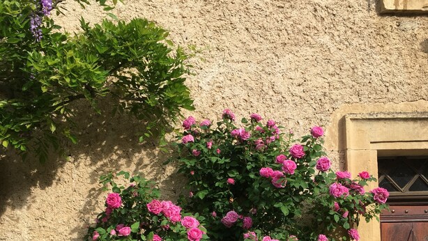 Un bâtiment doté d’un mur à la texture particulière et d’une porte.