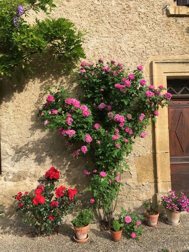 Maison de charme en Aveyron au cœur de la nature près d'un chemin de randonnée.