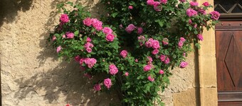 Charming Aveyron house in the heart of nature, close to a hiking trail.