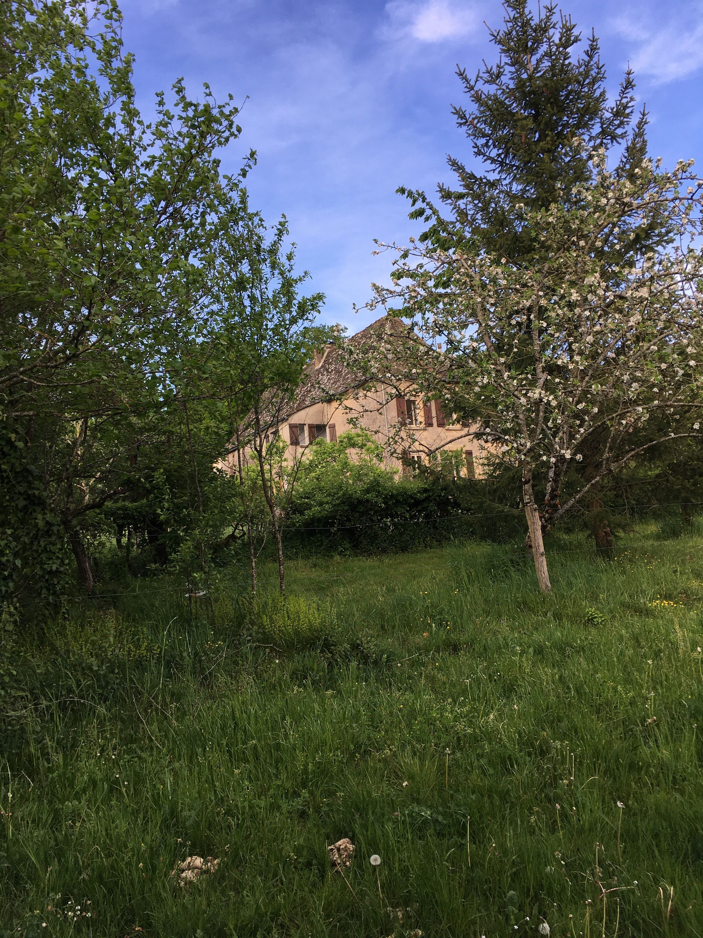 Un bâtiment rustique, doté d’un toit en pente, entouré d’une végétation luxuriante et d’arbres.