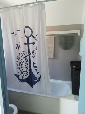 Bathtub, hair dryer, soap, toilet paper