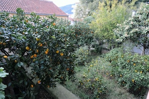 Taman