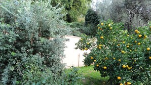 Garden - D&R Boreta Apartments (Budva)