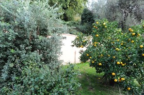 Garden - D&R Boreta Apartments (Budva)