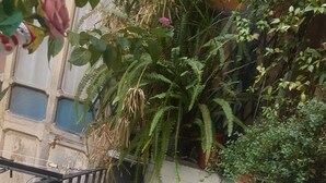 A small outdoor seating area with white plastic chairs and a table, surrounded by various plants and a metal railing. - B&B Miraglia (Naples)