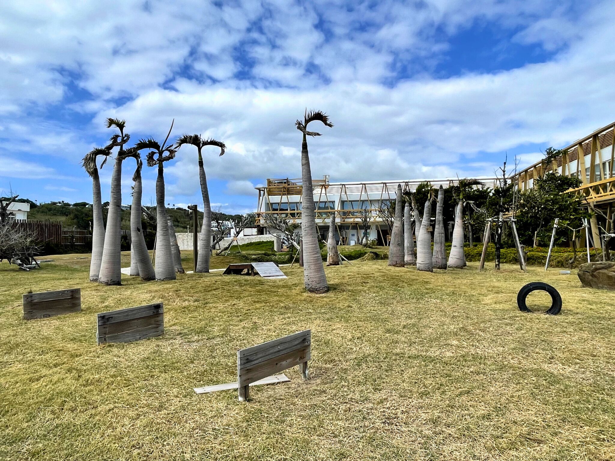 Un espacio al aire libre con césped, palmeras, un banco de madera y un edificio de diseño moderno al fondo.