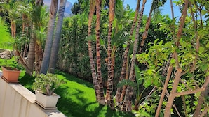 A lush garden with tall palm trees and a variety of greenery, bordered by a white wall and a stone staircase. - Villa with private pool, sicily, Palermo. (Trabia)