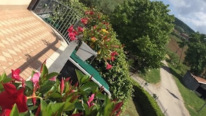 A balcony with potted plants and a view of a rural landscape. - Masseria Frangiosa (Torrecuso)