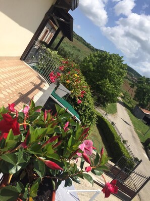 テラス / パティオ