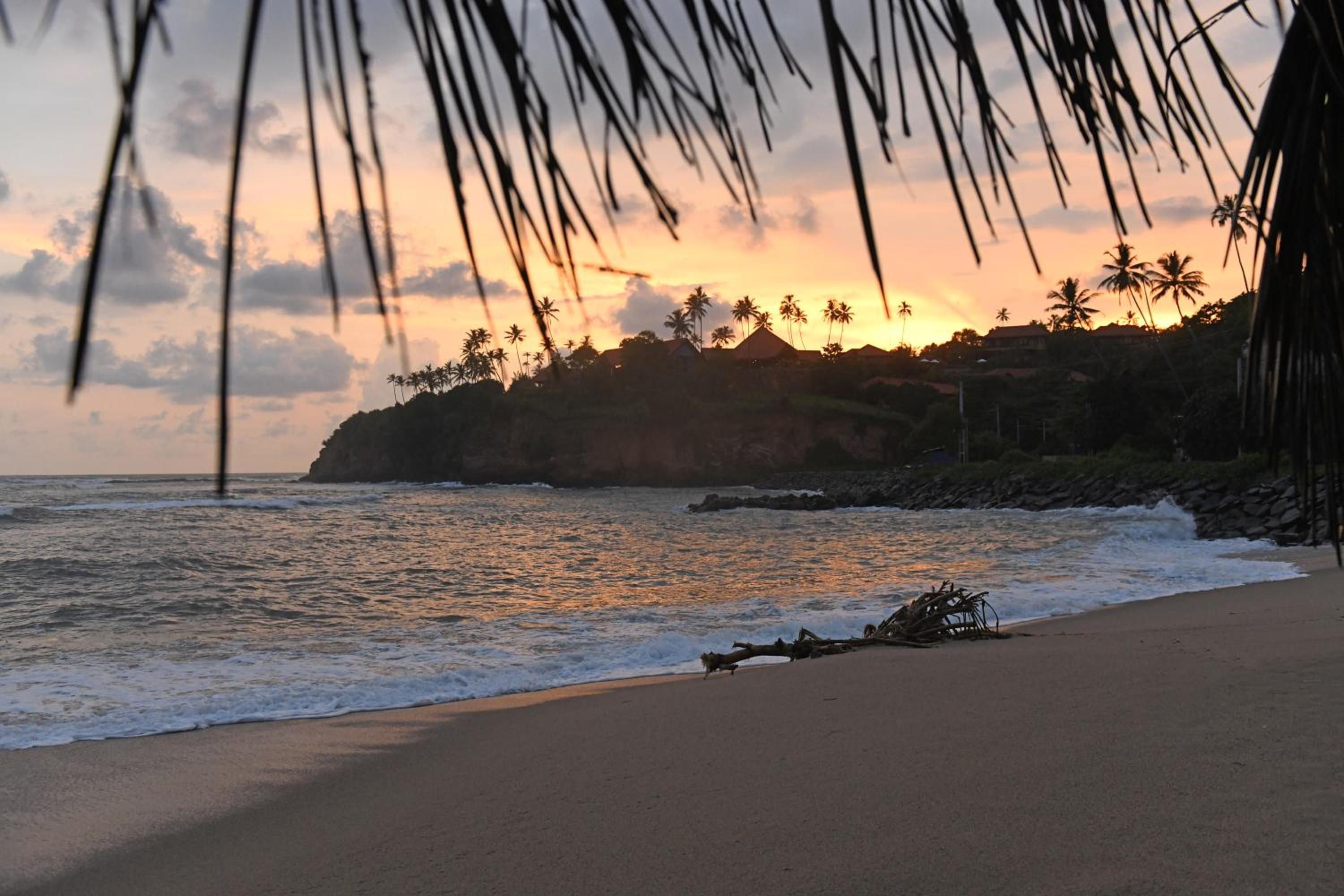 Una playa con olas, palmeras y un atardecer.