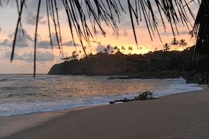 A beach with waves, palm trees, and a sunset.
