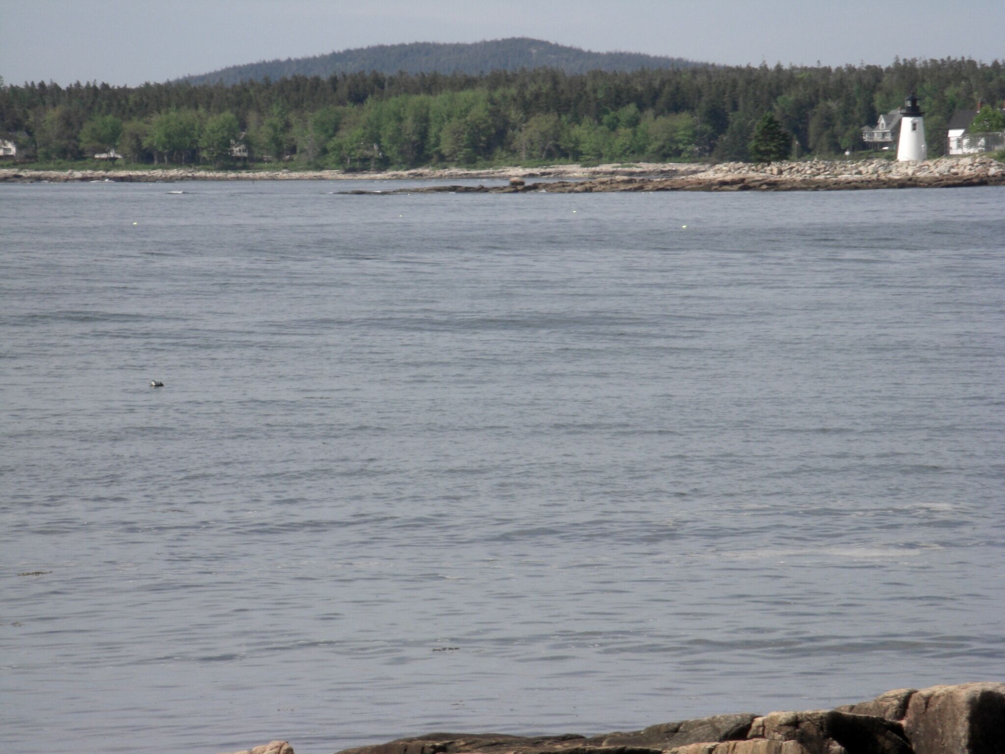 DOWNEAST/ACADIA MAINE SEASIDE COTTAGE WITH LIGHTHOUSE VIEW