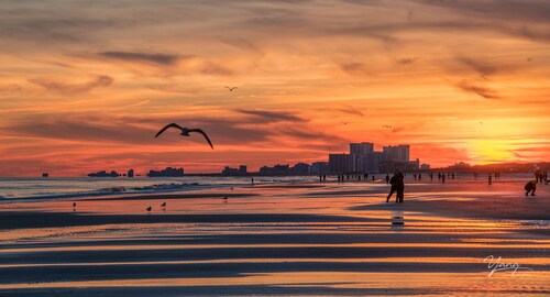 Schöne 4-BR, 3-Bath House- Minuten zum Strand