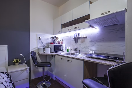 Standard Apartment | Private kitchen | Fridge, microwave, stovetop, dishwasher
