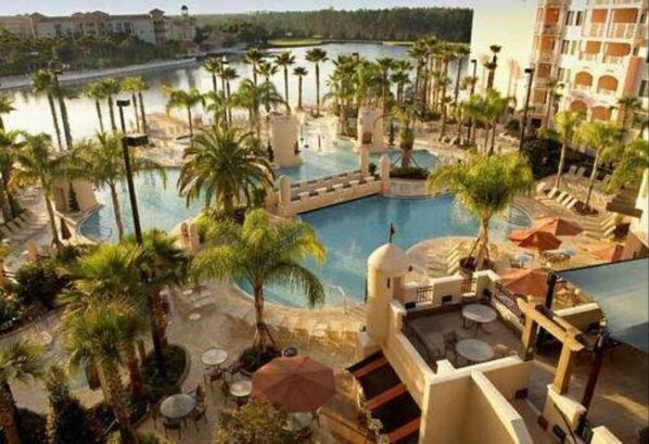 Relax by the resort's central pool surrounded by palm trees and lounge areas, with stunning views of the adjacent water.