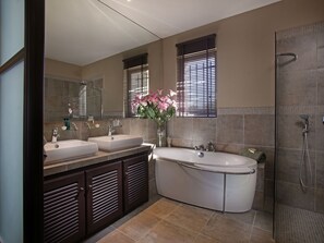 Combined shower/bathtub, hair dryer, towels, soap - Spectacular Provencal Stone House - Luxurious, Stunning & Charming!! (Gordes)