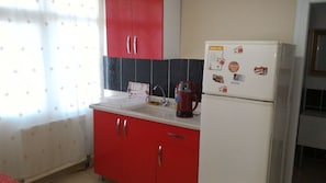 Apartment, 3 Bedrooms | Private kitchenette | Full-size fridge, oven, stovetop, dishwasher