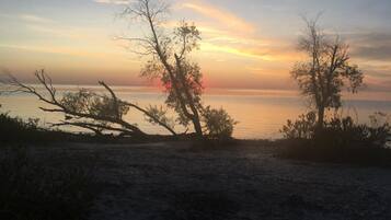 Ubicación a pie de playa, tumbonas y toallas de playa