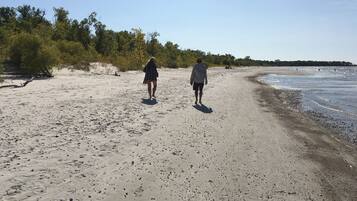 Ubicación a pie de playa, tumbonas y toallas de playa