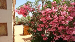 A building with a stone wall and a bush with pink flowers.