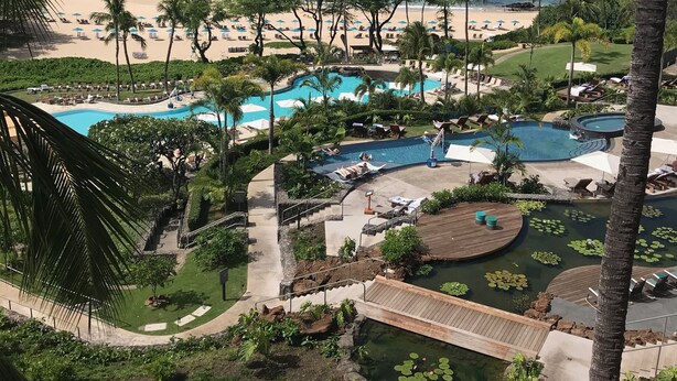 Um resort com área de piscina, palmeiras e vista para a praia.