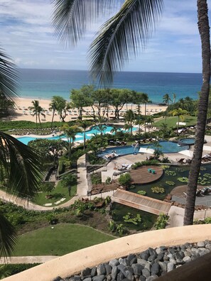 Ein Resort mit Poolbereich, Palmen und Blick auf den Strand.