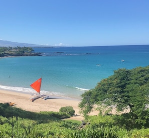 Una playa con agua turquesa cristalina, una orilla arenosa y abundante vegetación en primer plano.