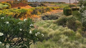 Paisagem tropical com vista para o pôr do sol, com vegetação variada e palmeiras.