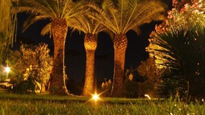 A nighttime view of a well-lit garden with palm trees and a flower bush. - Hotel Parco dei Principi (Anzio)