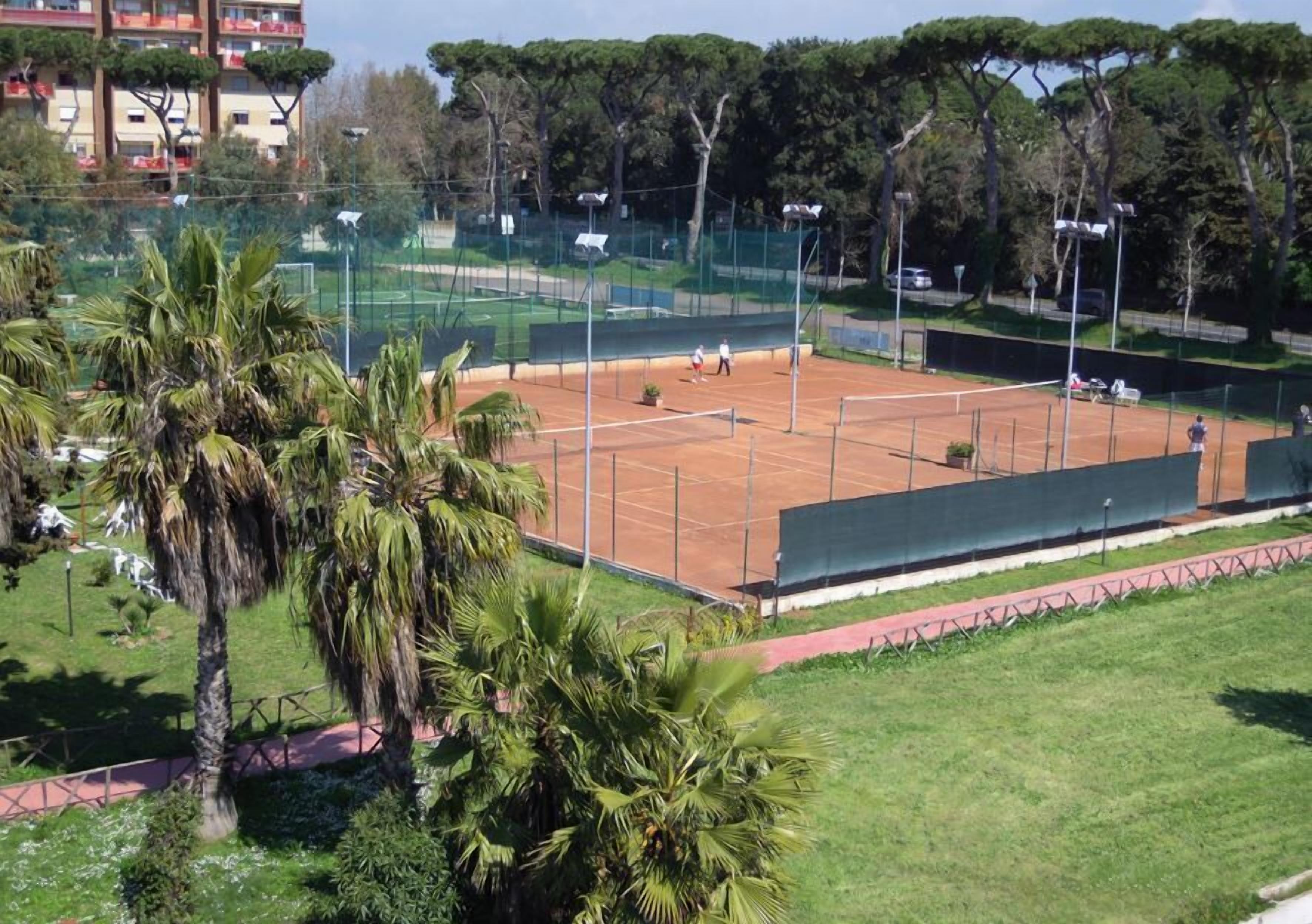 A tennis court surrounded by palm trees and a green fence.