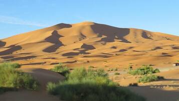 Tienda de campaña Deluxe (Double) | Vista al desierto