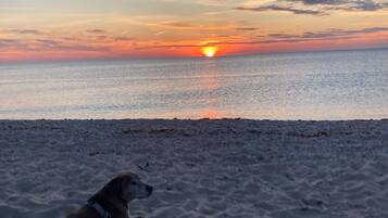 Ranta lähistöllä, aurinkotuoleja